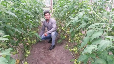 MƏN KƏNDƏ QAYIDACAM