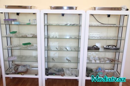 ADAU-nun Baytarlıq Klinikası tibbi xidmətlər təklif edir