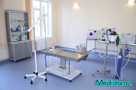 ADAU-nun Baytarlıq Klinikası tibbi xidmətlər təklif edir